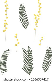Set of spring mimosa flower elements for frames, postcards, invitation and other holiday staff. Green mimosa leafs and branches of yellow flowers