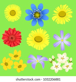 
Set of spring multicolored flowers on a green background