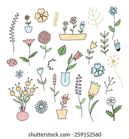 Set of spring plants and flowers hand-drawn