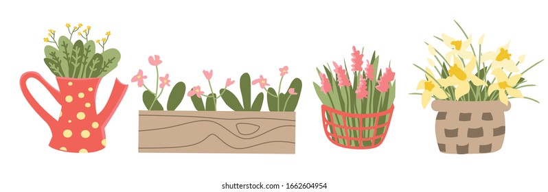 set of spring plants in pot, baskets, kettle. cute flat simple illustration