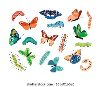 Set spring and summer colorful butterflies and caterpillars. Different cute silhouettes on white background. For festive card, logo, children, pattern, tattoo, decorative, concept. Vector illustration