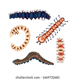 Set spring and summer colorful caterpillars. Pretty caterpillars different silhouette on white background. For festive card, banner, children, pattern, tattoo, decorative, concept. Vector illustration