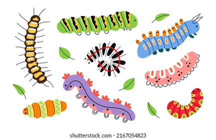 Set of spring, summer colorful caterpillars, centipede. Different silhouettes of cute caterpillar, small maggot move. Funny insects, garden and forest animal. Hand drawn flat vector illustration.