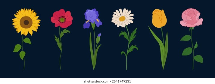 Set of spring summer flowers. Blossoming sunflower, poppy, iris, tulip, rose, chamomile. Hand drawn vector illustration isolated on black background, modern flat cartoon style.