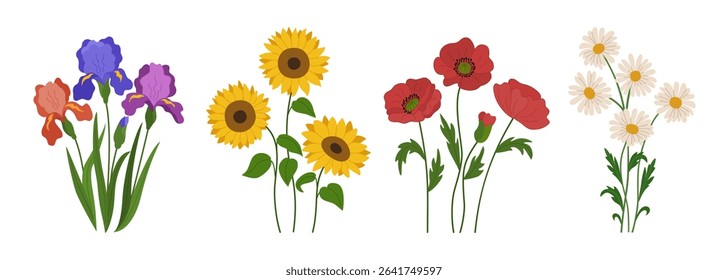 Set of spring summer flowers. Blossoming sunflowers, poppies, irises, chamomiles. Hand drawn vector illustration isolated on white background, modern flat cartoon style.