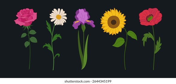 Set of spring summer flowers. Blossoming sunflower, poppy, iris, rose, chamomile. Hand drawn vector illustration isolated on black background, modern flat cartoon style.