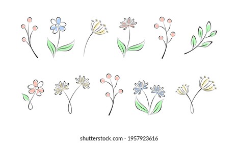 Set of spring and summer flowers, branches with leaves and berries on a white. Vector plant and floral elements for design, decoration, sign, label, emblem, print for t-shirt and clothing. Template