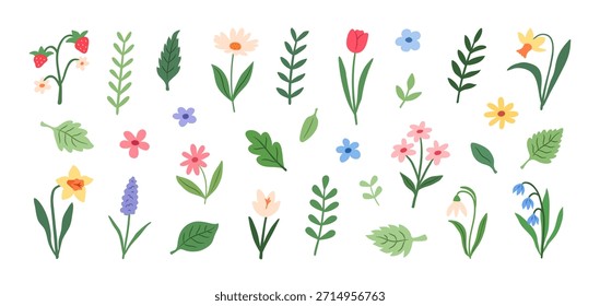 Satz Frühlings- und Sommerblumen, Zweige und Blätter