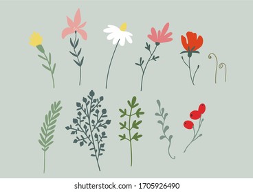 Set Frühlings- und Sommerblumen, Kamille, Beeren und Kräuter für die Erstellung eines Bouquets, Gestaltungsrahmen, Hintergründe. Vektorillustration einzeln.