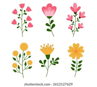Set of spring and summer flowers floral  blossom collection botanical decoration hand drawn illustration 