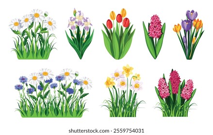 Set of spring and summer flowers with grass in cartoon style.Vector illustrations of different flowers, leaves and herbs:daisies,irises, tulips, hyacinths, crocuses, cornflowers, daffodils, hyacinths.