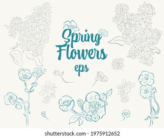 Set of spring, summer flowers: lilac, tender little flowers of the meadows. Maybe use for print: cards, wedding invitation, textile.