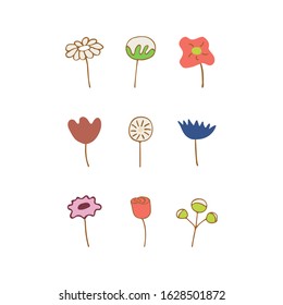 Set of spring and summer flowers and twigs on a white background. Tulip, Daisy, Dandelion, Cotton, Rose. Colorful illustration vector