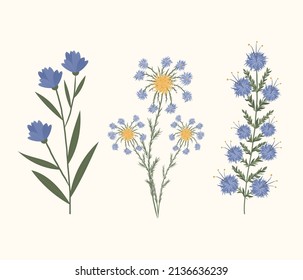 
Set of spring and summer flowers. Violet and yellow flowers in flat style for cards, invitations and decor.