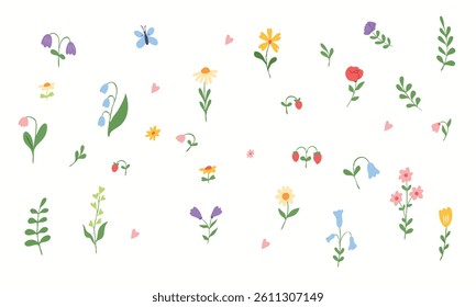 Set of spring and summer hand drawn flowers. Floral elements, wildflower, leaves and herb, plants, 