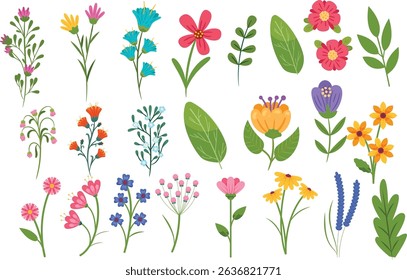 Set of spring and summer hand drawn flowers. Floral elements, wildflower, leaves and herb, plants, foliage on white background. Collection spring blossom icons. Vector flat illustration.