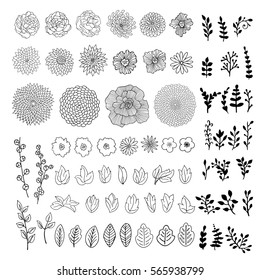 Set of spring and summer hand drawn flowers, leaves, branches. 