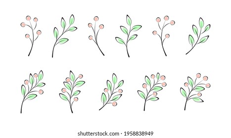 Set of spring and summer twigs, branches with leaves and berries on a white. Vector plant elements for design, decoration, sign, label, emblem, print for t-shirt, clothing and bags. Design template