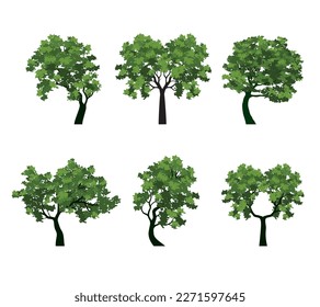 SET spring Trees with fresh Leaves. Vector outline Illustration. Plant in Garden.