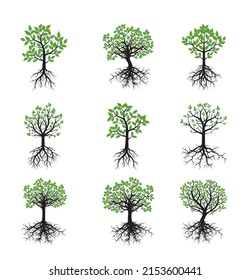Set spring Trees Outline Illustration.