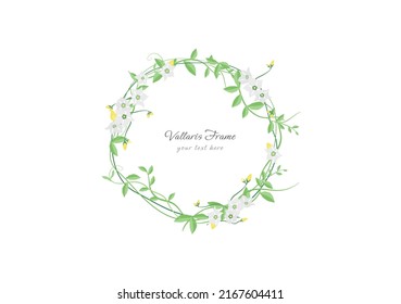 set of spring vallaris bread flower floral frame vector