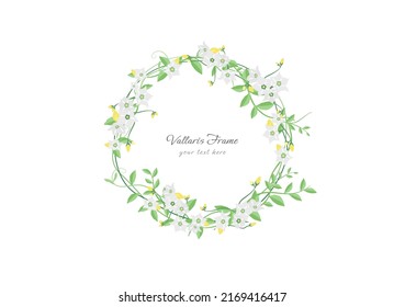 set of spring vallaris bread flower floral frame vector