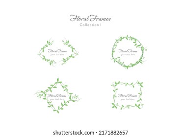 set of spring vallaris bread flower floral frame vector