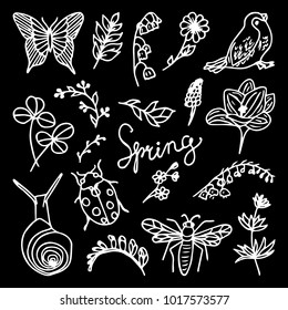 Set spring vector illustration. Butterfly, snail, ladybug, bird, clover leaf, flower, branch with leaves. 