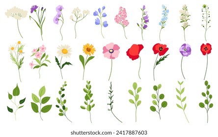 Set of spring vector meadow flowers