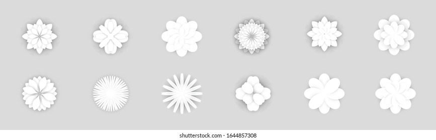 Set of Spring White Flat Style Elegant Flowers