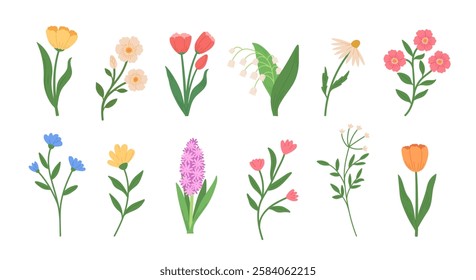 Set of spring wild flowers vector illustrations. Tulip, hyacinth, chamomile, mallow, cornflower in Hand draw style