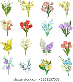 Set of spring wild and garden flowers. Crocus, tulip, mimosa, lily of the valley, lilac and daffodil cartoon vector illustration