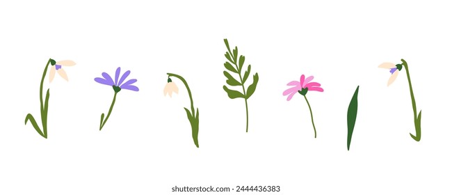 Set of spring wildflowers. Elegant tiny decorative leaves, snowdrops, flowers and branches. Hand drawn modern vector isolated clipart