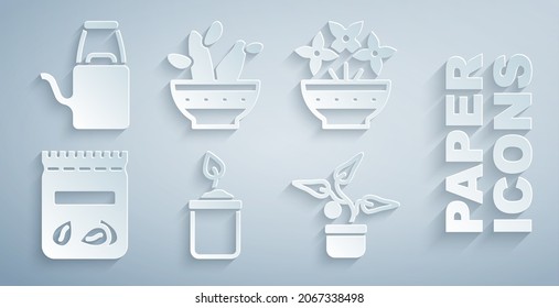 Set Sprout in bottle, Flower vase, Pack full of seeds of plant, Plant pot, Cactus peyote and Watering can icon. Vector