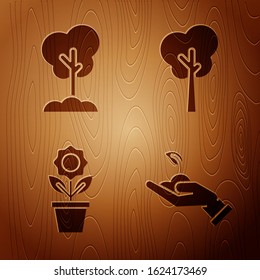 Set Sprout in hand of environmental protection, Tree in the ground, Flower in pot and Tree on wooden background. Vector