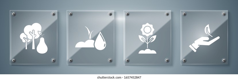 Set Sprout in hand of environmental protection, Flower, Watering sprout and Tree with pears. Square glass panels. Vector