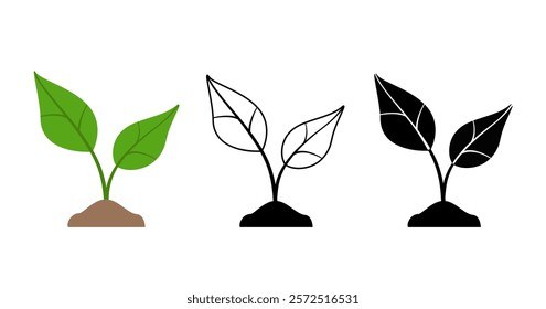 Set of sprout icons. Color and black and white vector illustration of a sprouted plant. Suitable for decoration and printing. For the plant store, ecology, gardening. sprouted seed. Green sprout