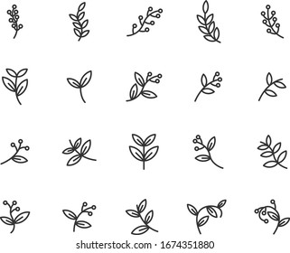 set of sprout icons, leaf, plant, nature, environment