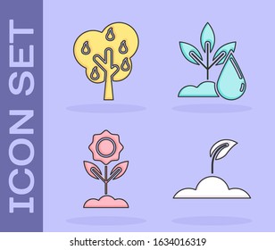 Set Sprout, Tree with pears, Flower and Watering plant icon. Vector