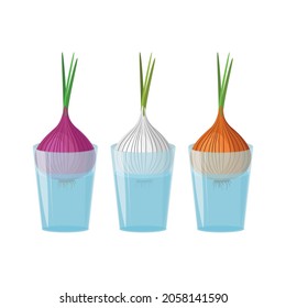 Esbrote de verduras de cebolla. Tres variedades de cebollas en un vaso de agua para cultivar vegetales. Ilustración vectorial aislada en un fondo blanco para el diseño y la web.