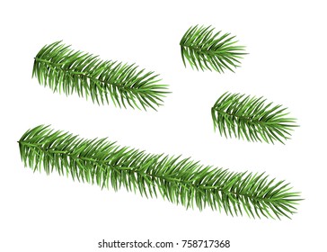 Set of spruce branch isolated on white background. Green fir. Realistic Christmas tree. Vector illustration for Xmas cards, banners, flyers, New year party posters.