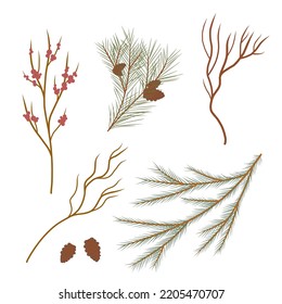 A set of spruce branches. Christmas tree. Fur tree, pine tree. Christmas decor, bouquet. Vector illustration.