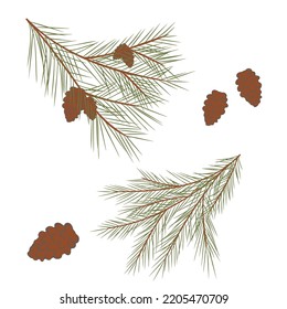 A set of spruce branches. Christmas tree. Fur tree, pine tree. Christmas decor, bouquet. Vector illustration.