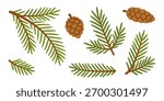 Set of spruce branches and pine cones. Hand drawn trendy flat style isolated. Perfect for Christmas design, winter decor, greeting cards, invitations, and festive illustrations. Vector illustration