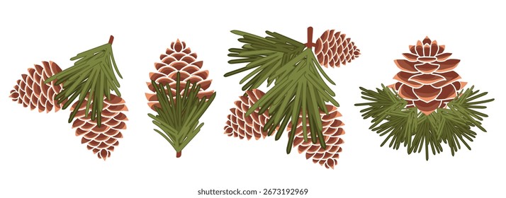 Conjunto de Cones de Spruce com Pequenas Ramificações Vista Lateral Vetor Botânico