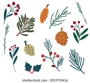 Set of spruce twigs berries and cones. Winter plants. Christmas foliage twigs branches red berries. Pine, spruce, fir tree branches and cones, rowan, rosehip berries. Nature botanical elements. Vector