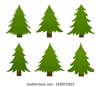 Set of spruces. Fir trees isolated on white background. Vector illustration.