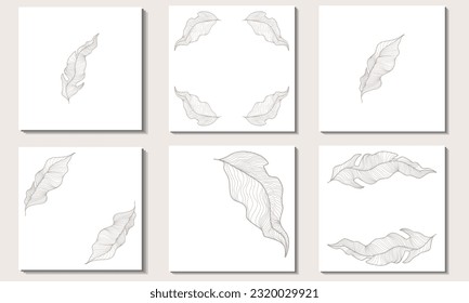 Conjunto de fondos cuadrados con hojas exóticas. Dibujo esquemático de hojas largas y anchas con venas. Ilustraciones modernas con formas abstractas en tonos beige de moda. 