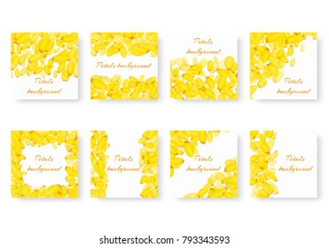 Set of square backgrounds with flying petals of yellow daffodils on a white backdrop for festive decoration of congratulations
