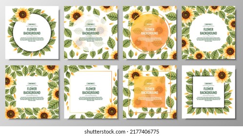 Set of square backgrounds with sunflowers. Floral frame with yellow flowers and green leaves.. Banner, poster, flyer, postcard. Summer illustration